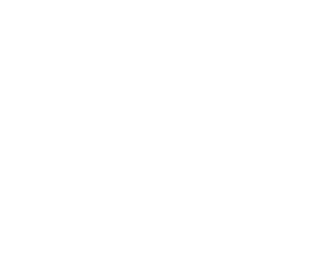 logo Apex