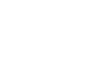 logo Court en Scène